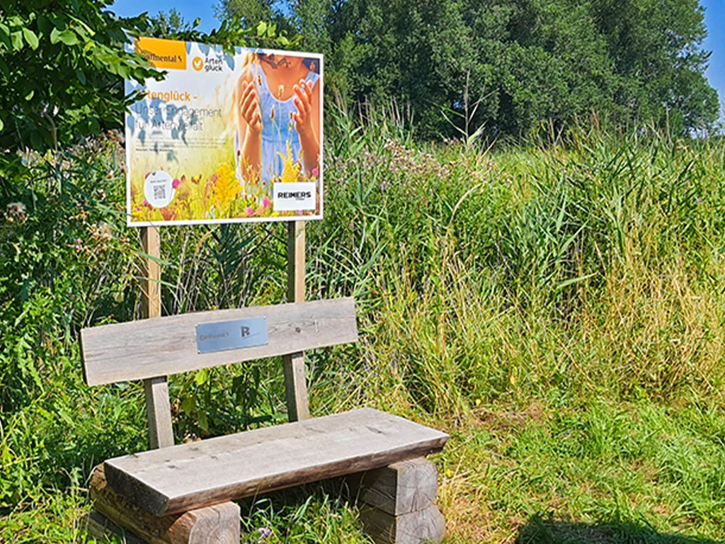Blühwiese Bank 08